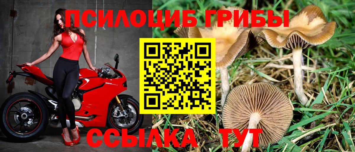 Псилоцибиновые грибы ЛСД Шарыпово